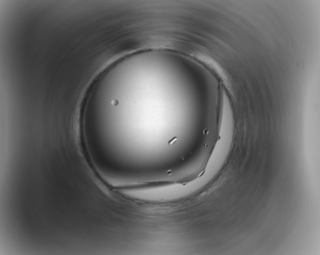 X0000089760894200707051831