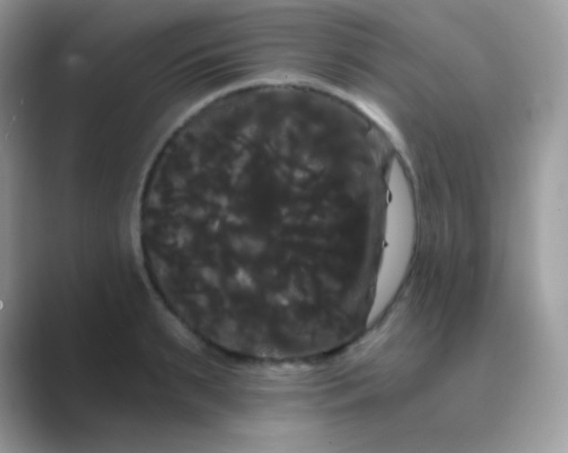 X0000089760895200707051831