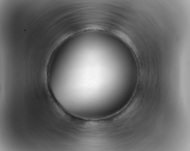 X0000089760898200707051831