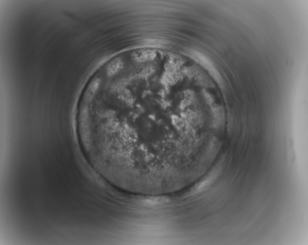 X0000089760899200707051831