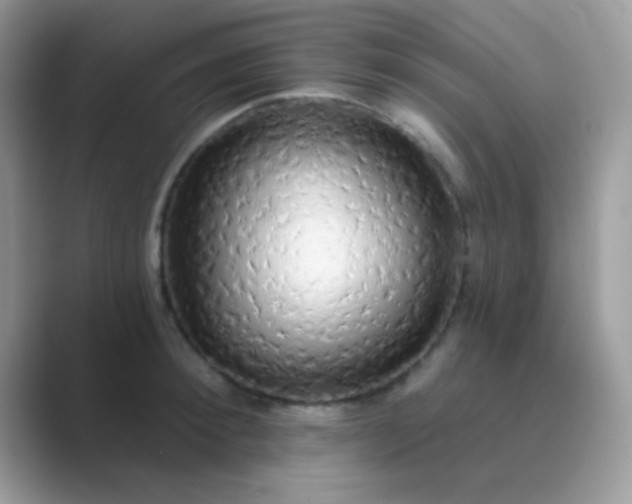 X0000089760900200707051831