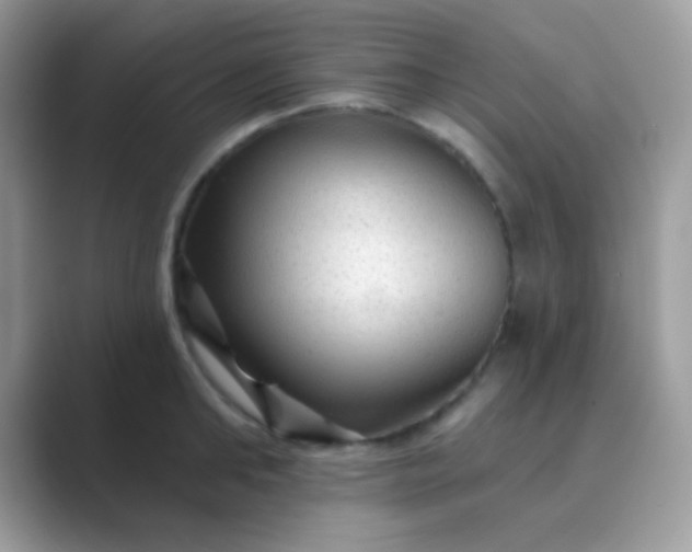 X0000089760902200707051831