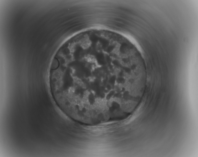 X0000089760903200707051831