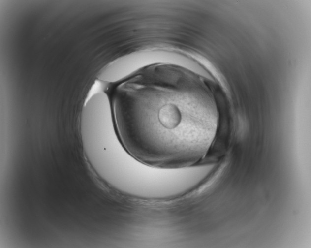 X0000089760905200707051831