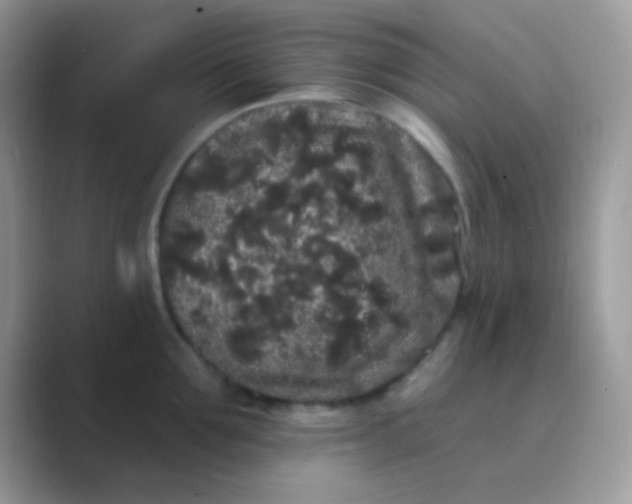 X0000089760907200707051831