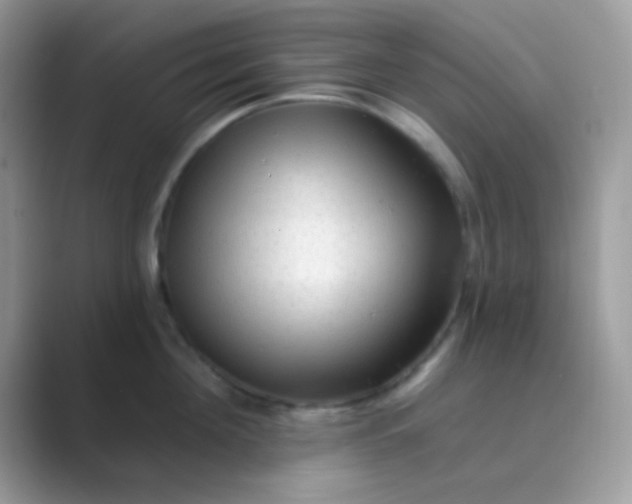 X0000089760908200707051831