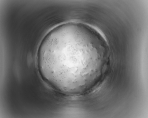 X0000089760911200707051831