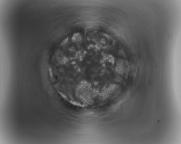 X0000089760913200707051830