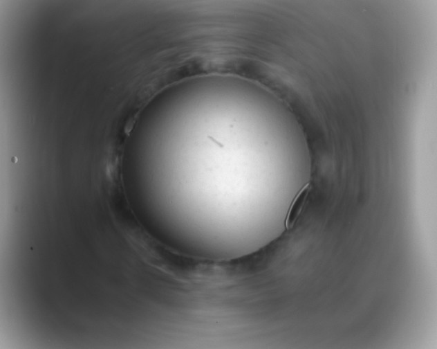 X0000089760914200707051830