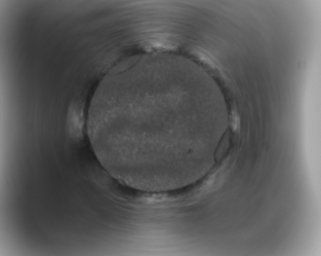 X0000089760915200707051830