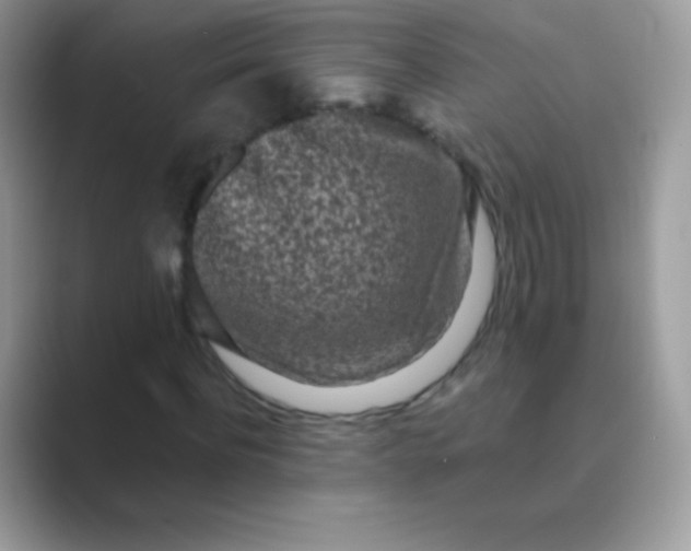 X0000089760916200707051830