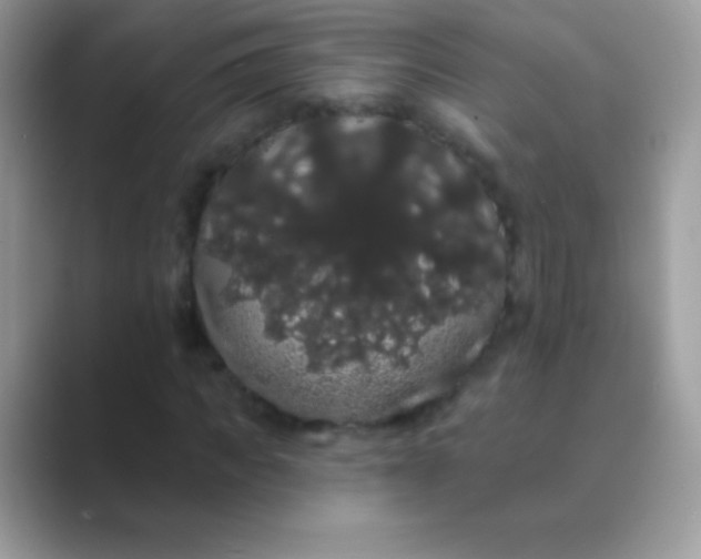 X0000089760917200707051830