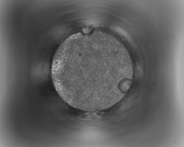 X0000089760918200707051830