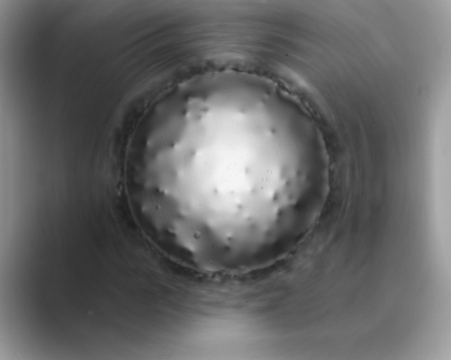 X0000089760919200707051830