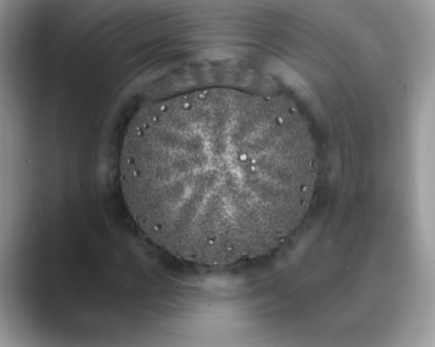 X0000089760920200707051830