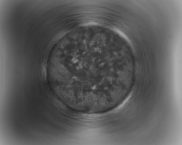 X0000089760921200707051830