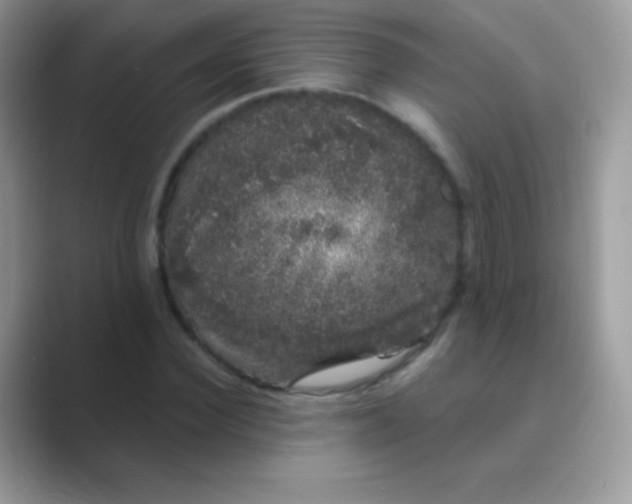 X0000089760924200707051830