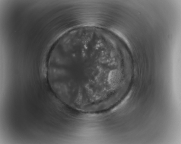 X0000089760925200707051830