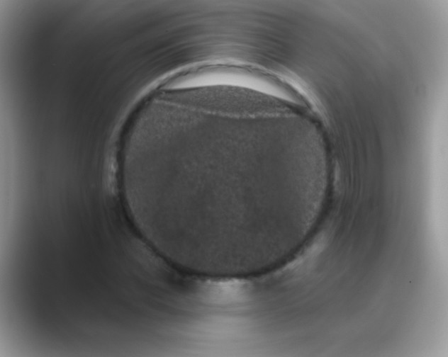 X0000089760926200707051830