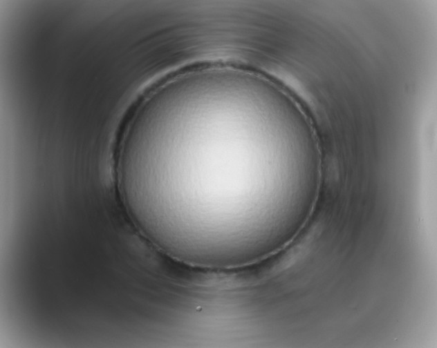 X0000089760927200707051830