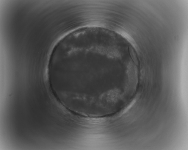 X0000089760928200707051830