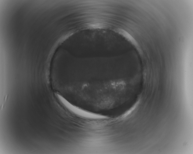 X0000089760930200707051830