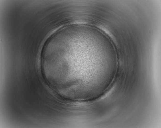 X0000089760933200707051830