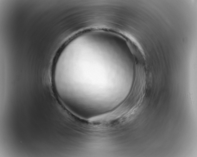 X0000089760935200707051830