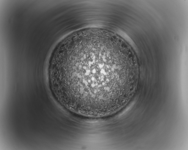 X0000089760939200707051831