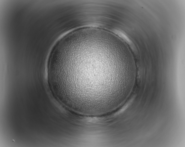 X0000089760940200707051831