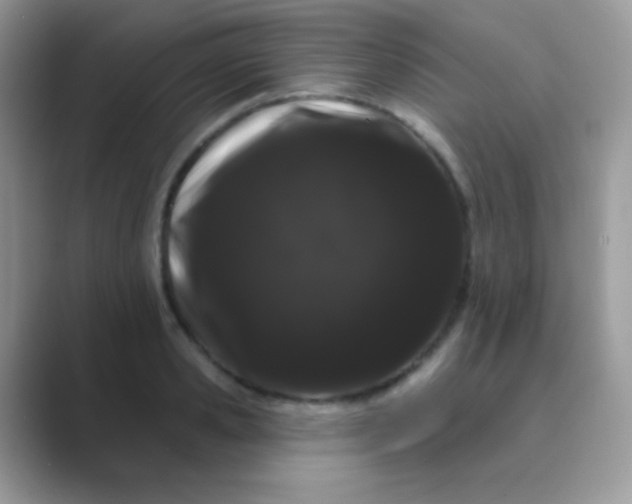 X0000089760941200707051831