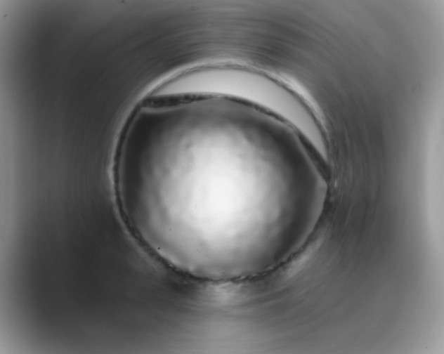 X0000089760943200707051831