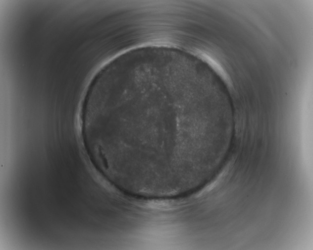 X0000089760944200707051831