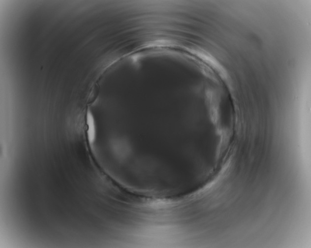 X0000089760945200707051831