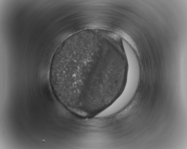 X0000089760946200707051831