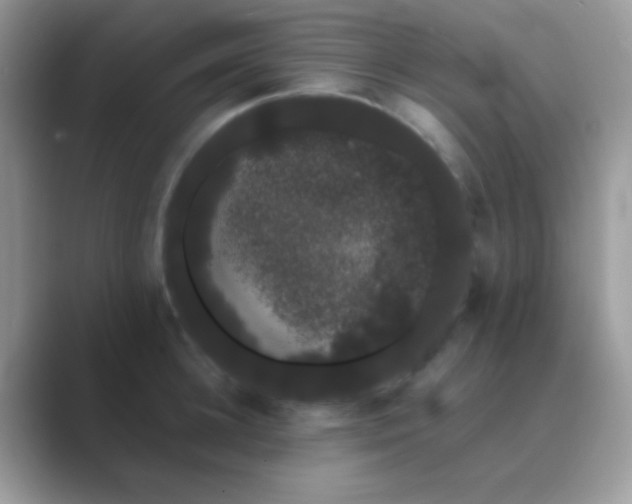 X0000089760948200707051831