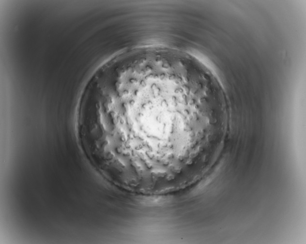 X0000089760949200707051831