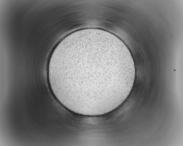 X0000089760950200707051831