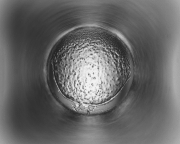 X0000089760951200707051831