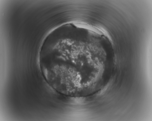 X0000089760952200707051831