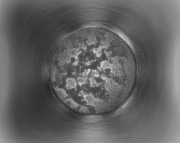 X0000089760953200707051831