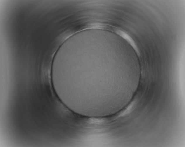 X0000089760954200707051831