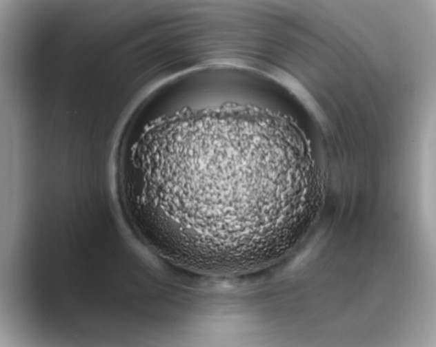 X0000089760955200707051831