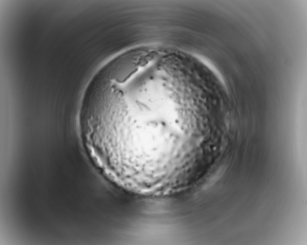 X0000089760959200707051831