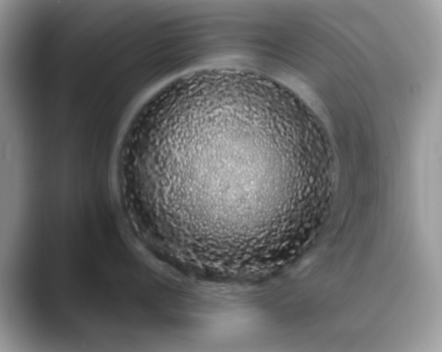 X0000089760960200707051831