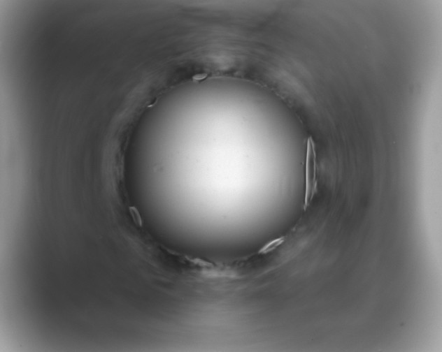 X0000089760961200707051830