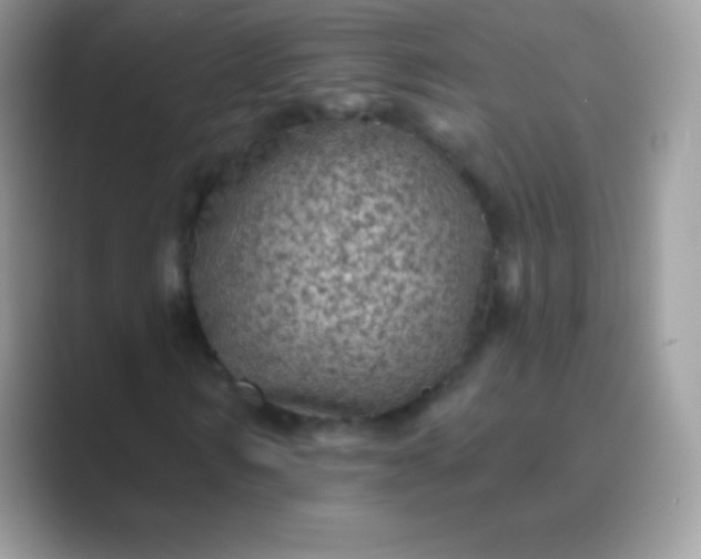 X0000089760962200707051830