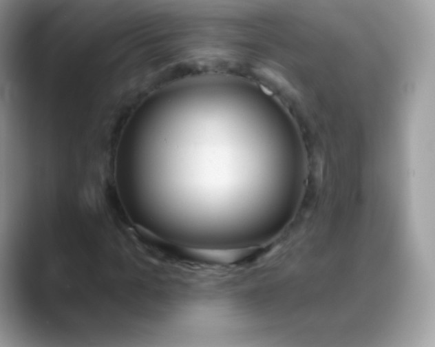 X0000089760965200707051830