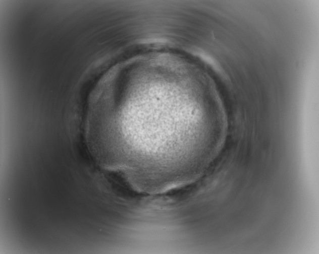 X0000089760967200707051830