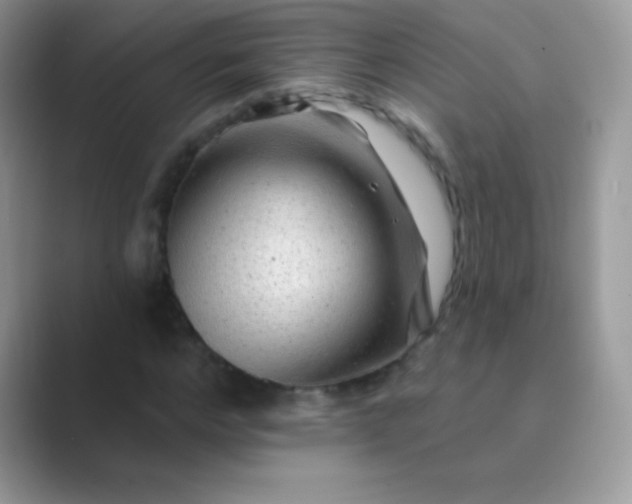 X0000089760968200707051830